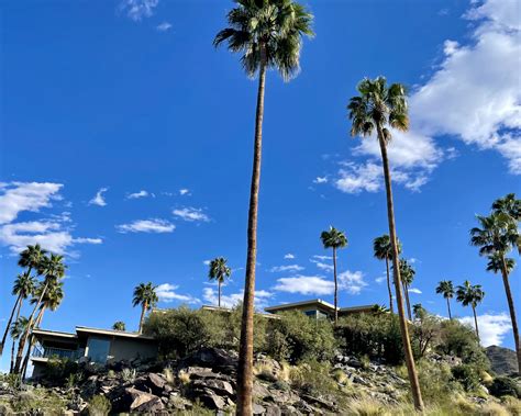 A Foodie's Guide to Studio City Restaurants The Hollywood Home