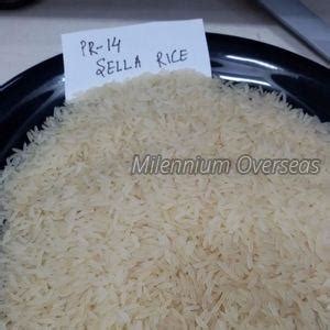 Pr 106 Raw Non Basmati Rice Manufacturer, Supplier from Greater Noida