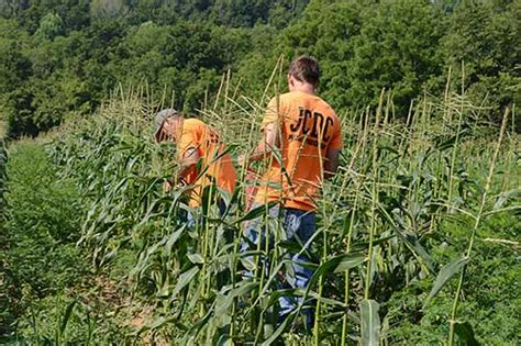Welcome to the Jessamine County Detention Center