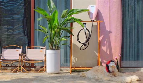 安徽易威斯新能源科技股份有限公司