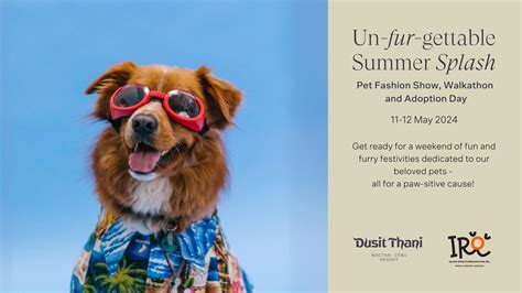 Un-fur-gettable Summer Splash, Dusit Thani Mactan Cebu, Lapu-lapu City ...