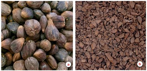 Effects of Palm Kernel Shells (PKS) on Mechanical and Physical ...