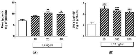 Pro-Inflammatory Activation of a New Immortalized Human Microglia Cell Line