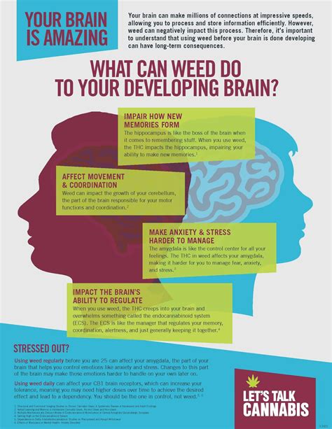 Weed Effects On Brain