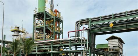 Best Bleaching Powder Brands in India