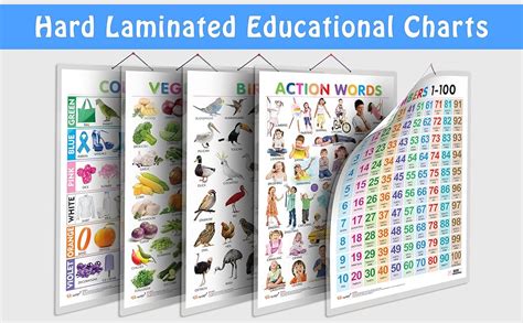 Buy Pack of 2 Action Words and 1-100 Numbers Educational charts with ...