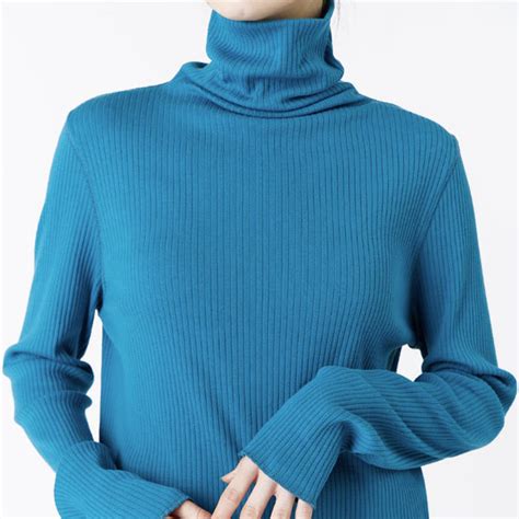 THE SHINZONE シンゾーン HIGH NECK RIB ハイネックリブカットソー 24SMSCU05 レディース【クリックポスト可 ...