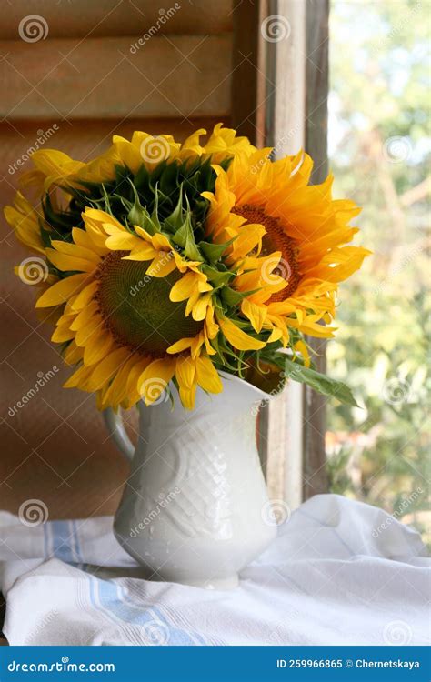 Beautiful Sunflowers in Vase Near Window Indoors Stock Image - Image of ...