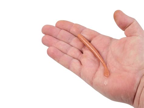 Image result for Gulp Alive