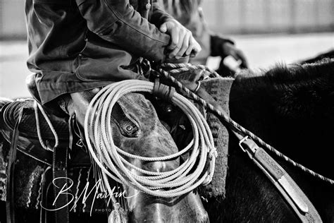 Working Ranch Roping Level 1- Last One of 2024!, Melody Ranch, High ...