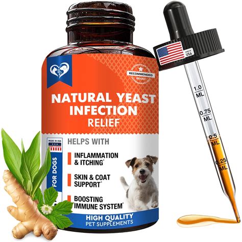 Natural Dog Yeast Infection Anti Itch Treatment - Itchy Ears, Skin ...