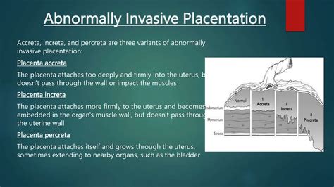 Understanding Risk Factors For Invasive Placentation: A Medical Guide
