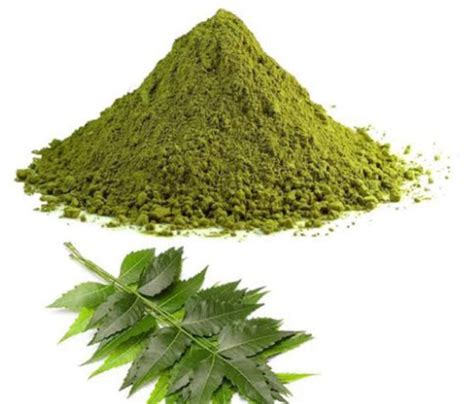 Organic Neem Leaf Powder Exporter from Gwalior