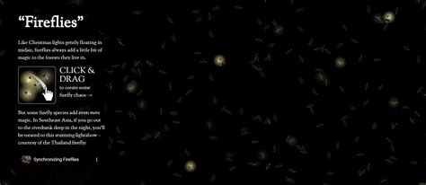 Image result for Firefly Synchronization