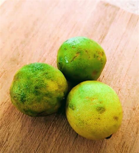 Should Limes Have Seeds at Paul Hines blog