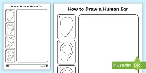 How to Draw a Human Ear Worksheet | Drawing | Twinkl | KS1