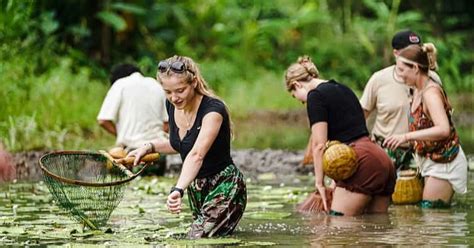 Khách Tây bỏ tiền triệu đi bắt cá bằng nơm ở Ninh Bình, có vịt massage ...