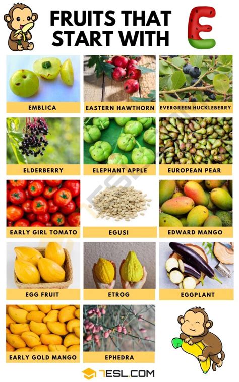 Fruits that Start with E • 7ESL
