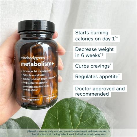 metabolism+ | natural metabolism booster to promote fat burn