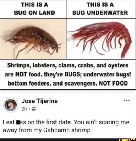 THIS ISA THIS IS A BUG ON LAND BUG UNDERWATER Shrimps, lobsters, clams ...