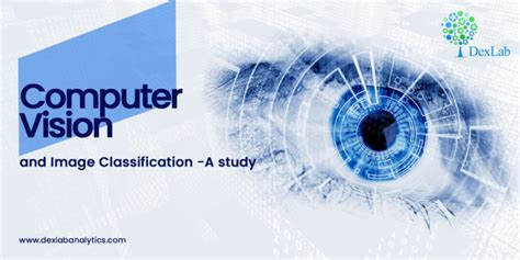 Computer Vision Classification Example 的图像结果