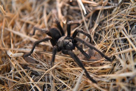PHOTOS: Immersed in nature at Walnut Creek's Shell Ridge Open Space