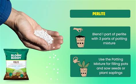BloomBuddy Perlite for Plants – 450g Sterile Soil Enhancer for Indoor ...