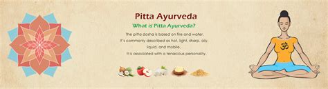 Leech Therapy: Procedure And Its Benefits | Birla Ayurveda