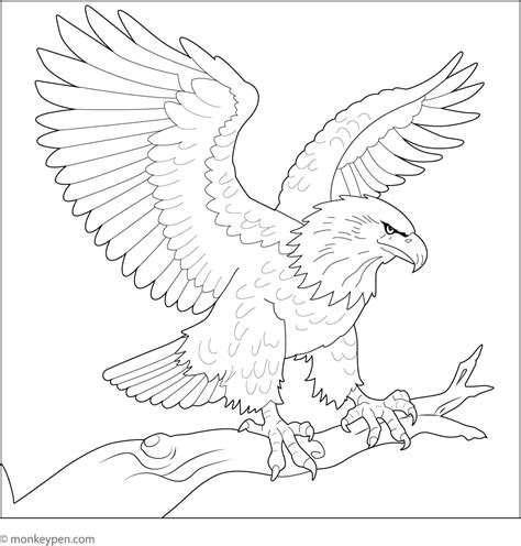 Bald Eagle Coloring Page