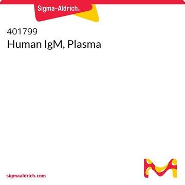 Human IgM, Plasma | Sigma-Aldrich