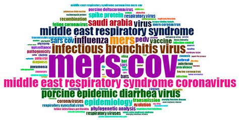 Identifying Research Trends and Gaps in the Context of COVID-19