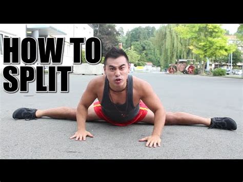 Split Tutorial 的图像结果