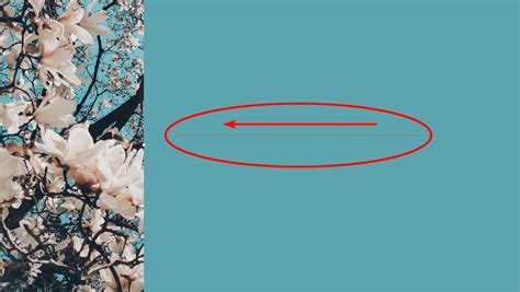 Image result for Gradient InDesign