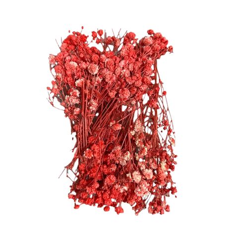 Gypsy flower box red