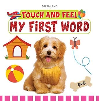 Touch And Feel - My First Word : Dreamland Publications: Amazon.in: Books