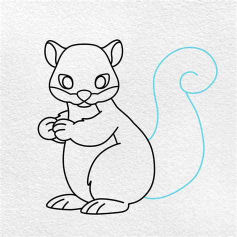 Line Drawing Of A Squirrel