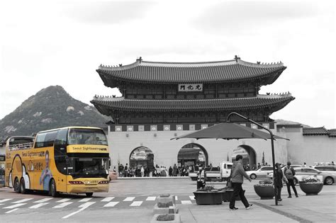 Dongdaemun Hop-on Hop-off Bus Tour in Seoul | Pelago