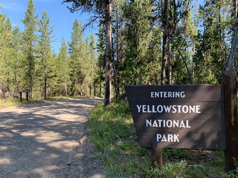 Yellowstone National Park visitation numbers down again in August ...
