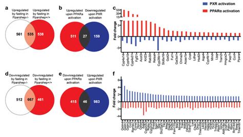 Gene Expression Profiling Reveals that PXR Activation Inhibits Hepatic ...