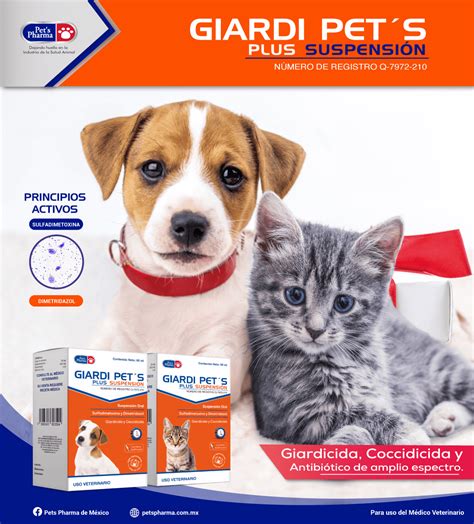Inicio - Pets Pharma
