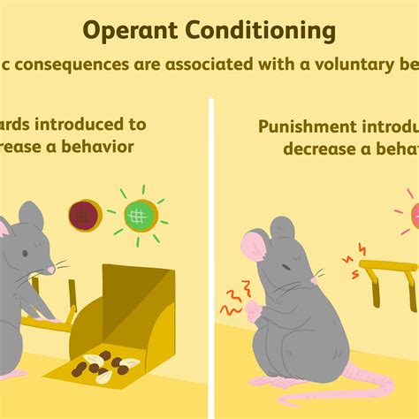 Classical Conditioning in Humans 的图像结果