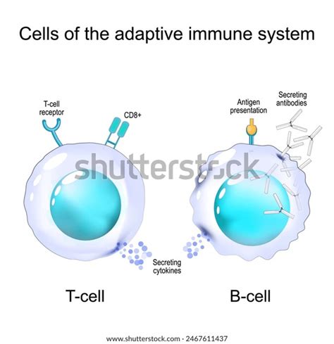Image result for Adaptive Control System in Human Body