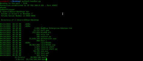 Python Reverse Shell 的图像结果