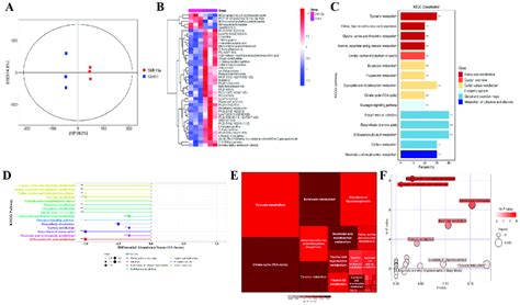 Image result for PIM2 Score