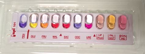 Image result for API NH Test