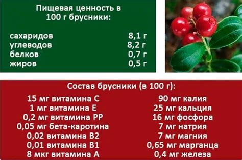 Брусниця — корисні властивості і протипоказання для жінок, користь і шкода