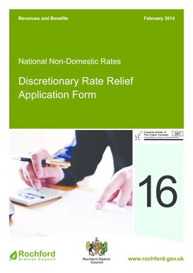 Fillable Online rochford gov Guidelines for completing the ...