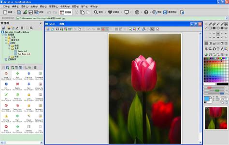 IconWorkshop：图标制作软件的图像变换功能|IconWorkshop中文官方网站