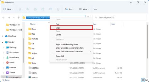 Ubauntu Set Python Path 的图像结果