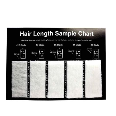 Unlock Grooming Mastery with Aeolus Hair Length Sample Chart | Shop Now ...